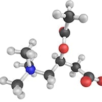 acetyl-l-carnitin wofr ZeinPharma Acetyl L Carnitin Kapseln 500 mg 60 St der Ihre Stoffwechselprozesse zu mehr Effizienz und Vitalitt fhrt und jeden Schritt Ihrer Gesundheitsreise vorantreibt. Acetyl-L-Carnitin Kapseln 500mg - VitaminExpress