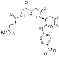 Chymotrypsin