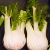 Fenchelfrucht_Fenchel.jpg