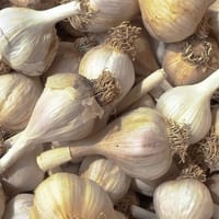 Knoblauch.jpg