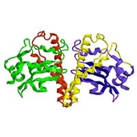 Superoxid-Dismutase