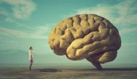 Gebot der Vernunft: Dem Gehirn helfen