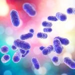 Führt ein bestimmtes Bakterium zu Alzheimer und Krebs?