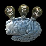 Welche Auswirkungen Sex auf das Gehirn hat