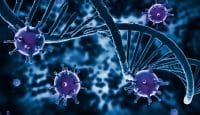 Neuer Mechanismus entdeckt, der eine Immunantwort in Zellen mit geschädigter DNA auslöst