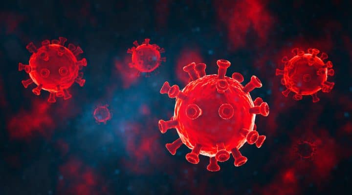 Wissenschaftler entdecken Lama-Antikörper, die COVID und seine zukünftigen Varianten unschädlich machen
