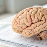 Wissenschaftler entdecken Hirnschichten, die mit zunehmendem Alter stärker werden