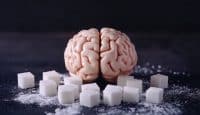 Das Gehirn macht nachts Überstunden, um Fett zu verbrennen und einen Zuckerschock zu verhindern