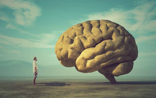 Wissenschaftler enthüllen fünf wichtige Momente, in denen sich Ihr Gehirn dramatisch verändert