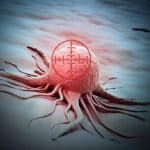 Wissenschaftler lösen das 30 Jahre alte Rätsel um einen bisher unbekannten Nährstoff, der das Gehirn schützt und Krebs bekämpft